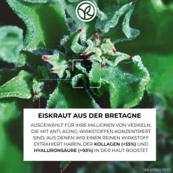 Aufpolsternde Anti-Falten-Tagescreme