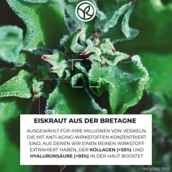 Augenpflege gegen Falten und Tränensäcke