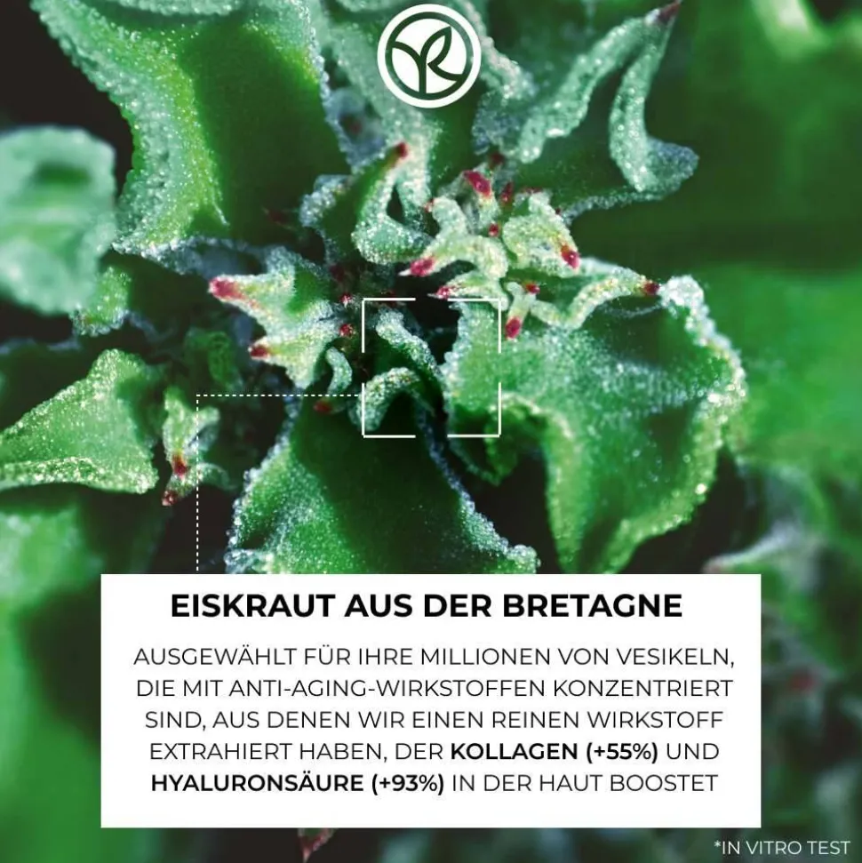 Augenpflege gegen Falten und Tränensäcke