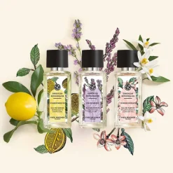 Calme Absolu - Eau de Parfum