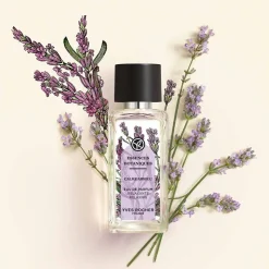 Calme Absolu - Lavendel - Duftkonzentrat-Roll-on