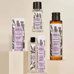 Calme Absolu - Lavendel - Duftkonzentrat-Roll-on