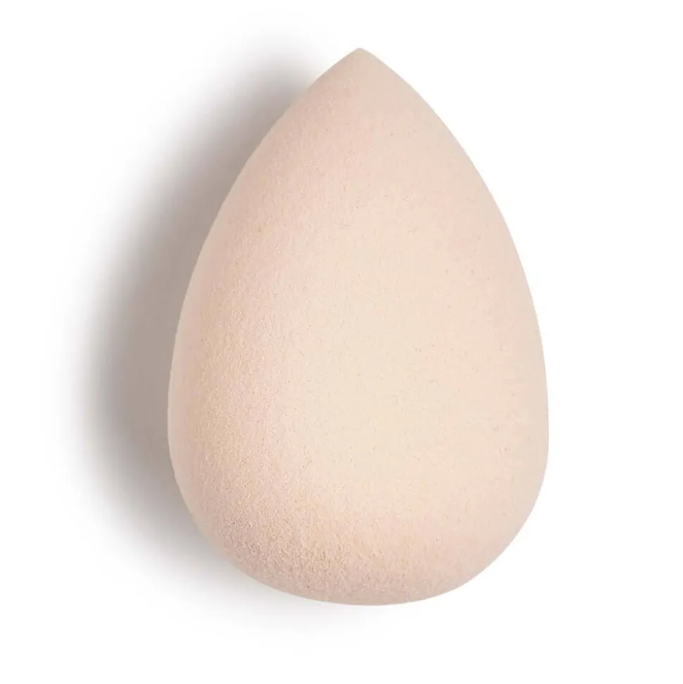 Foundation Schwamm