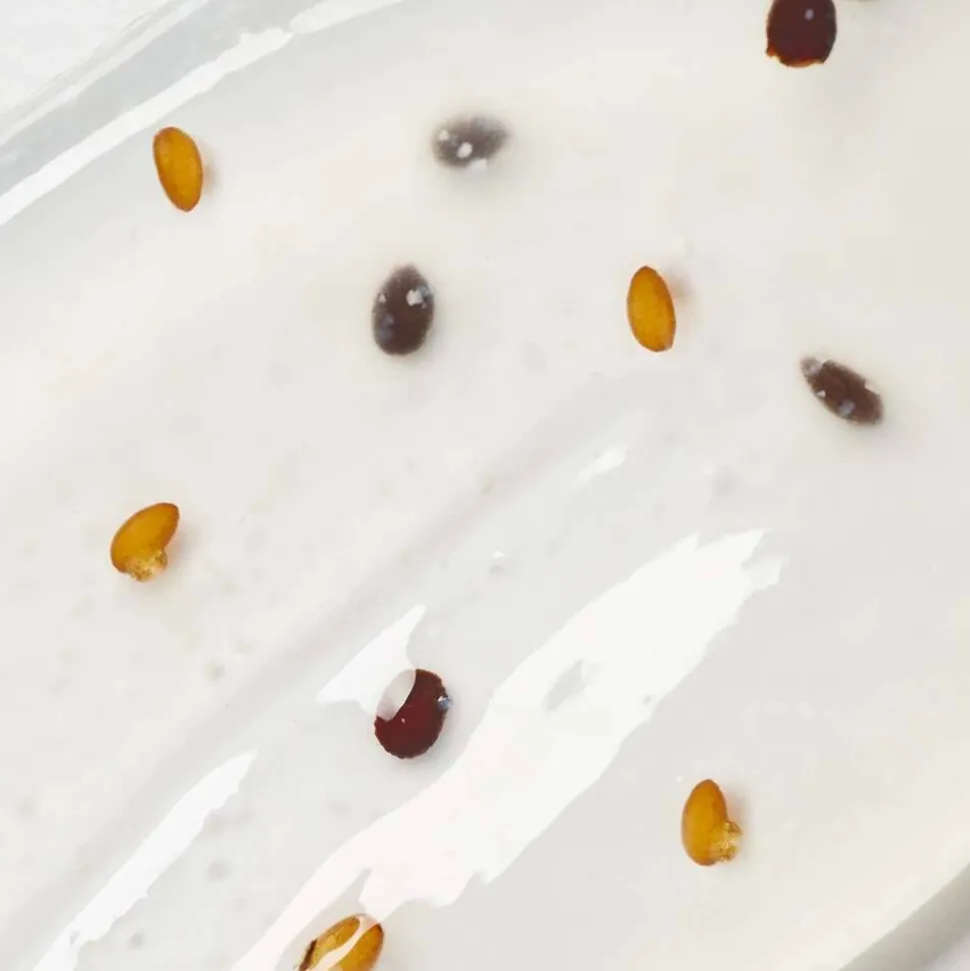 Körperpeeling-Gel Himbeere & Pfefferminze