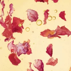 Oleo-Serum Rosenblüten
