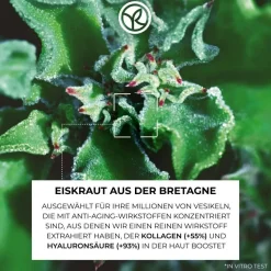 Straffende Anti-Falten-Nachtcreme