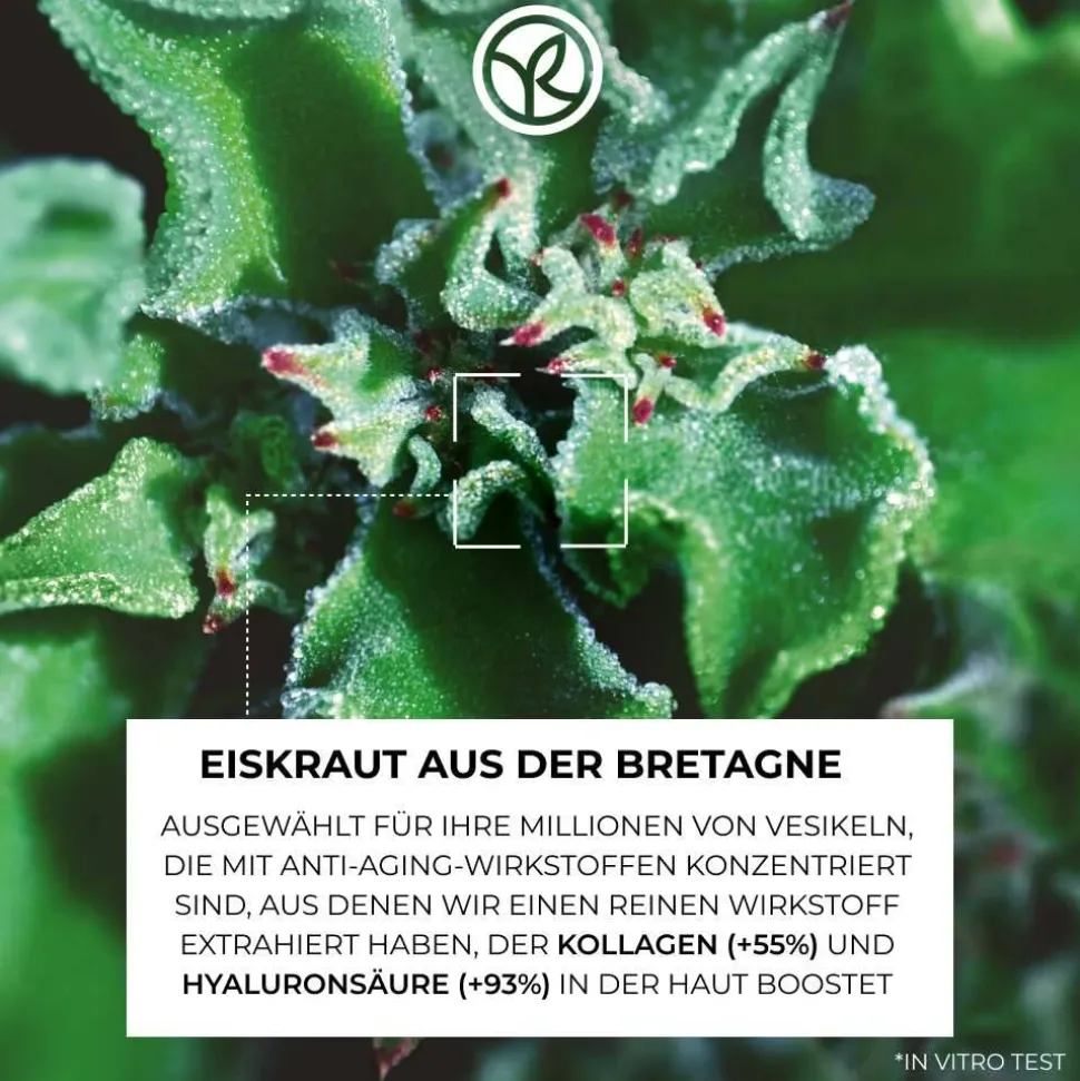 Straffendes Anti-Falten-Serum