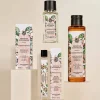 Tendres Instants - Eau de Parfum